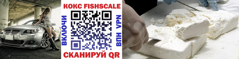 COCAIN Fish Scale  MEGA вход  Красный Кут 