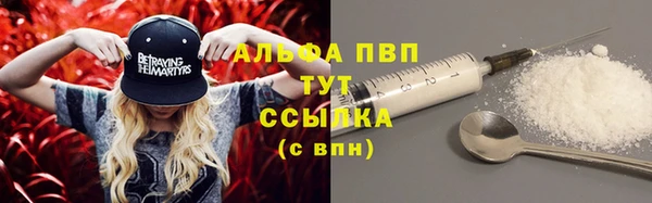 винт Аркадак