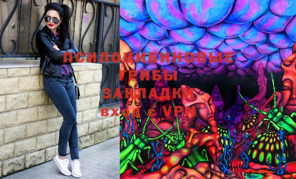 тгк Арсеньев