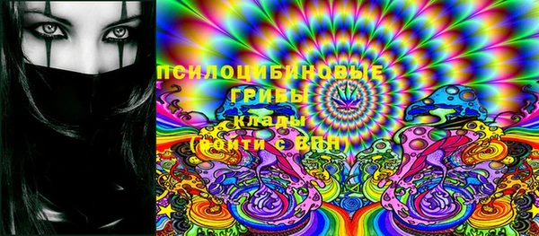винт Аркадак