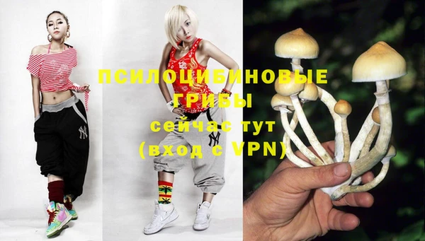 винт Аркадак