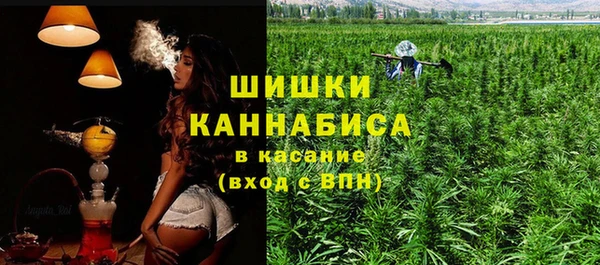 тгк Арсеньев