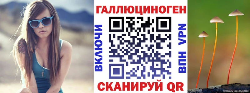 Галлюциногенные грибы Cubensis  Красный Кут 